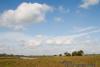 Wolkenlucht boven uiterwaard